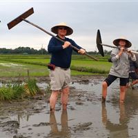 Wet Rice Growing Experience ( small group bike tour )