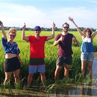 Wet Rice Growing Experience ( small group bike tour )